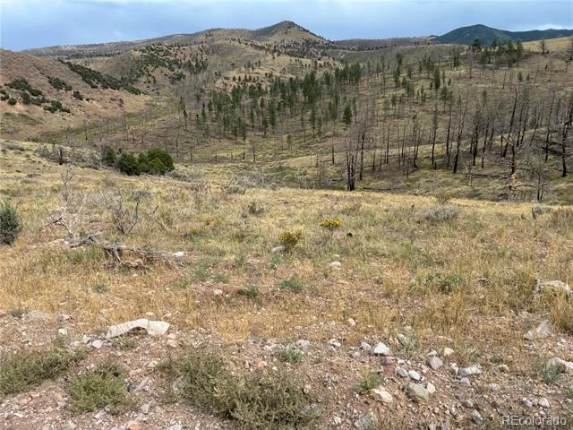 LOT 7726 DE Montalambert Road Fort Garland, CO 81133