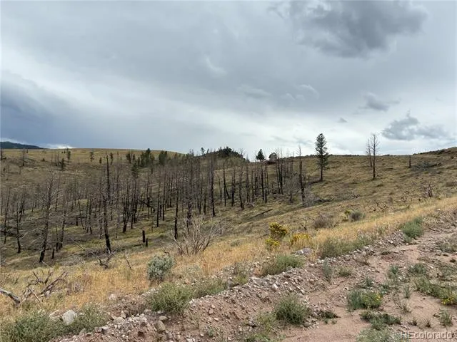 LOT 7726 DE Montalambert Road Fort Garland, CO 81133