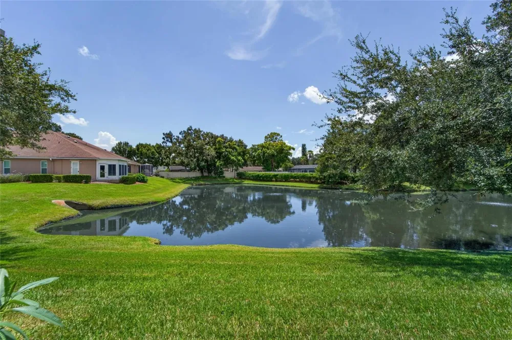 1113 SAVANNAH LANDINGS AVENUE Valrico, FL 33596