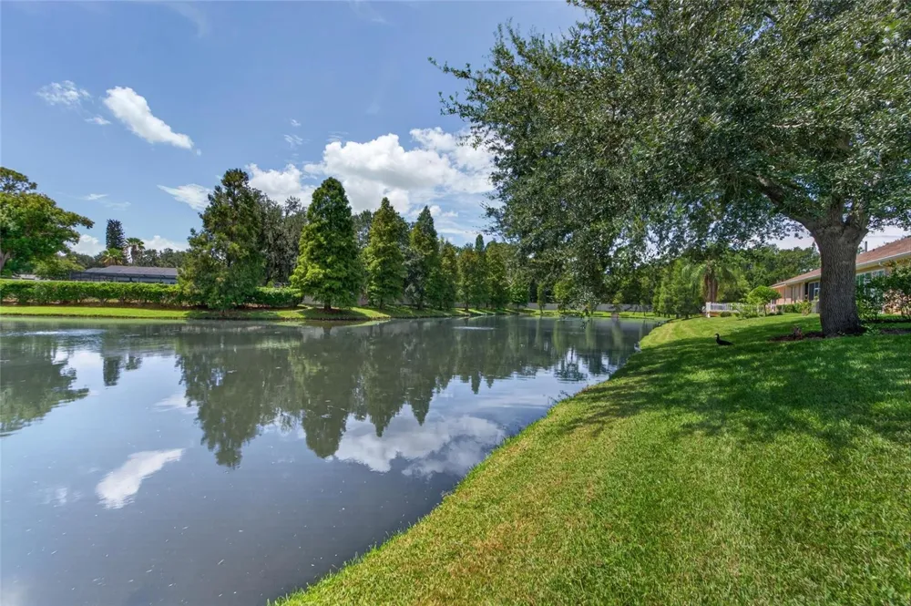 1113 SAVANNAH LANDINGS AVENUE Valrico, FL 33596