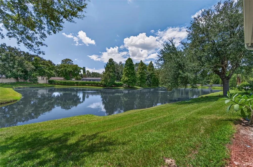 1113 SAVANNAH LANDINGS AVENUE Valrico, FL 33596