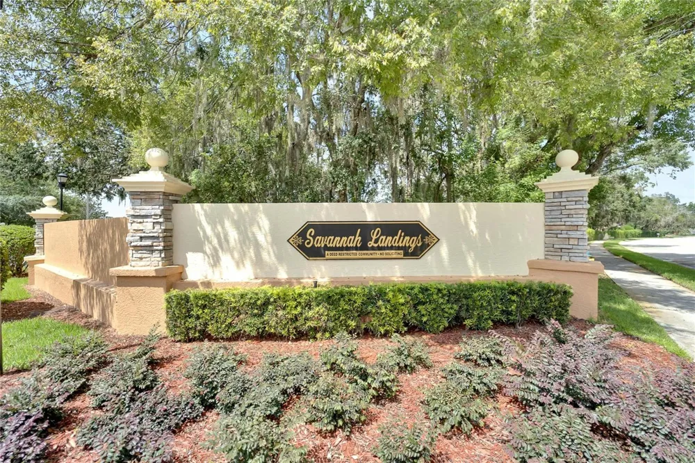 1113 SAVANNAH LANDINGS AVENUE Valrico, FL 33596