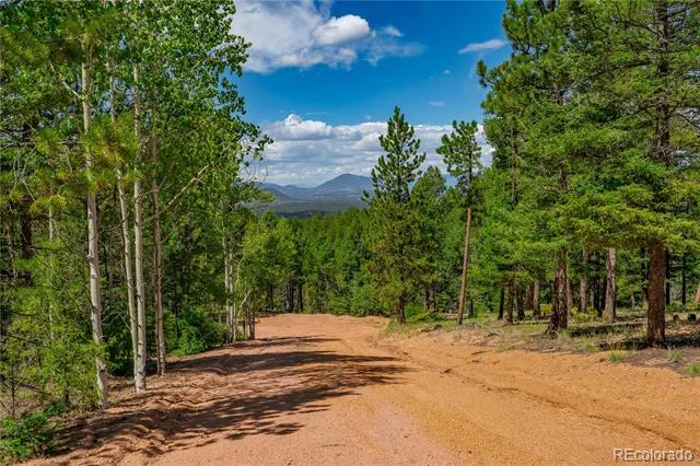 384 Insmont Lane Florissant, CO 80816
