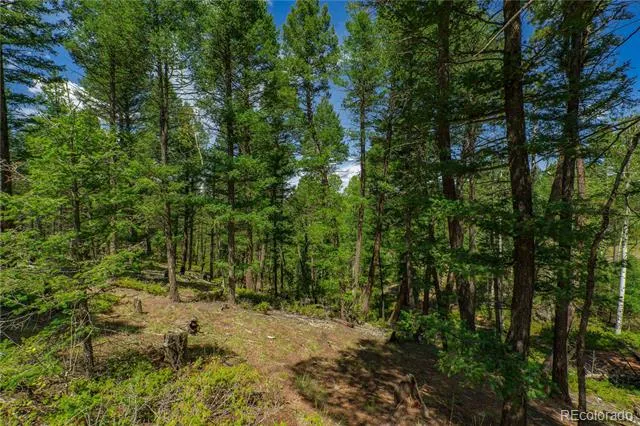 384 Insmont Lane Florissant, CO 80816