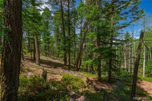 384 Insmont Lane Florissant, CO 80816