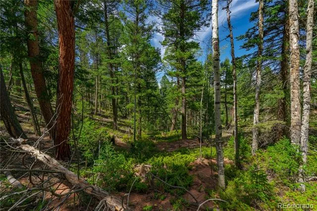 384 Insmont Lane Florissant, CO 80816