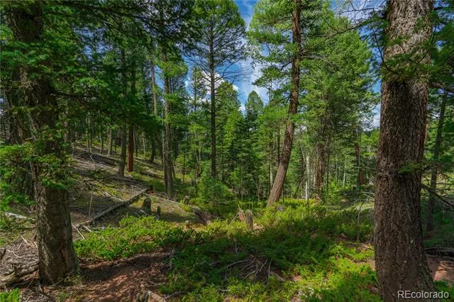 384 Insmont Lane Florissant, CO 80816