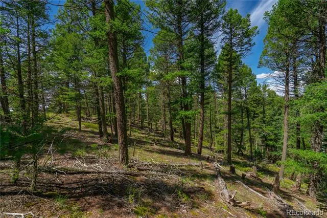 384 Insmont Lane Florissant, CO 80816