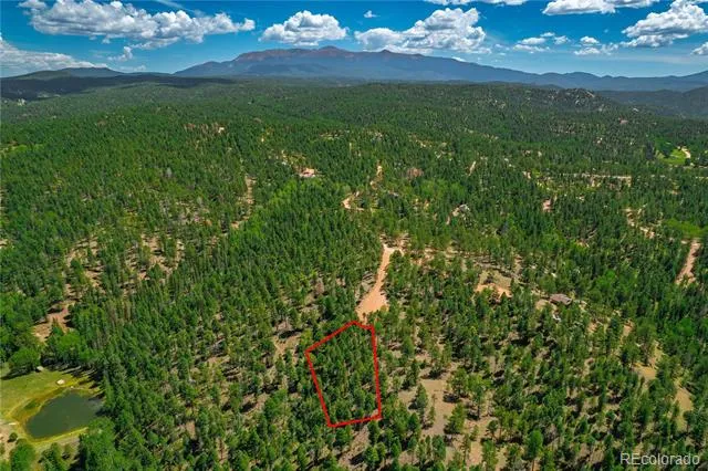 384 Insmont Lane Florissant, CO 80816