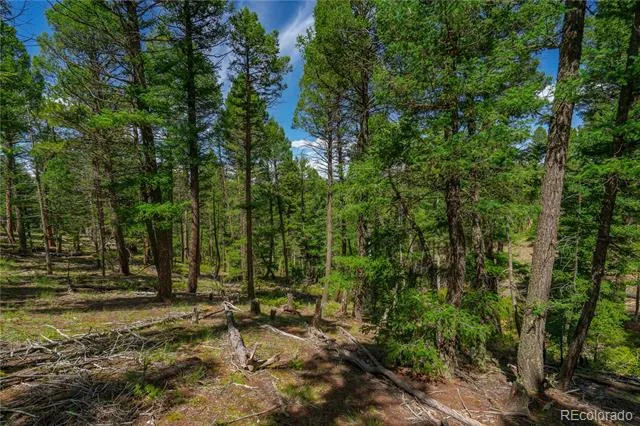 384 Insmont Lane Florissant, CO 80816