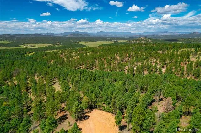 384 Insmont Lane Florissant, CO 80816