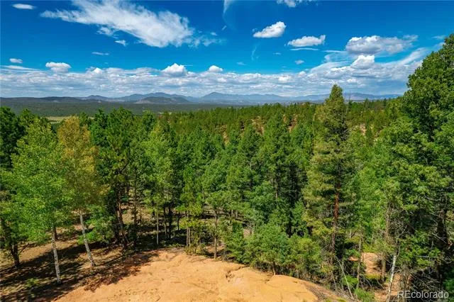 384 Insmont Lane Florissant, CO 80816