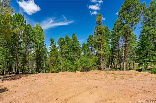 384 Insmont Lane Florissant, CO 80816