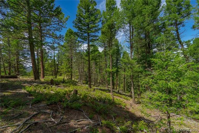 384 Insmont Lane Florissant, CO 80816
