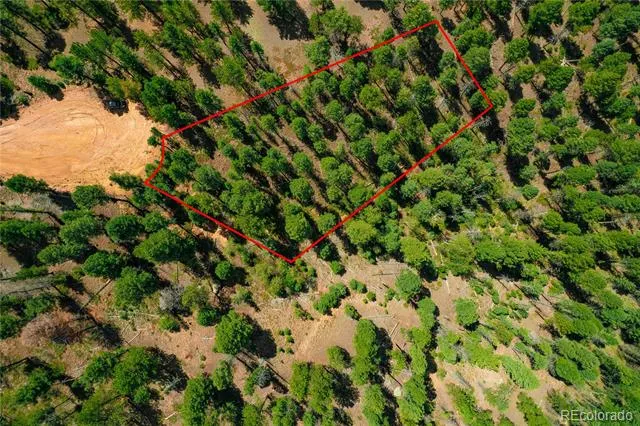384 Insmont Lane Florissant, CO 80816
