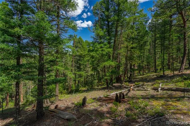384 Insmont Lane Florissant, CO 80816