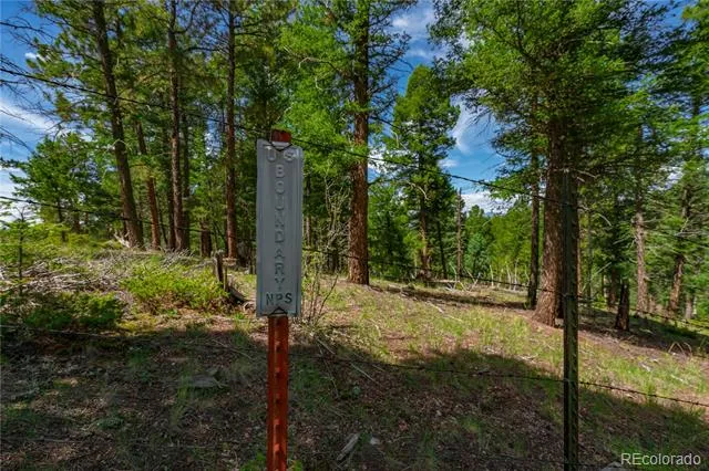 384 Insmont Lane Florissant, CO 80816