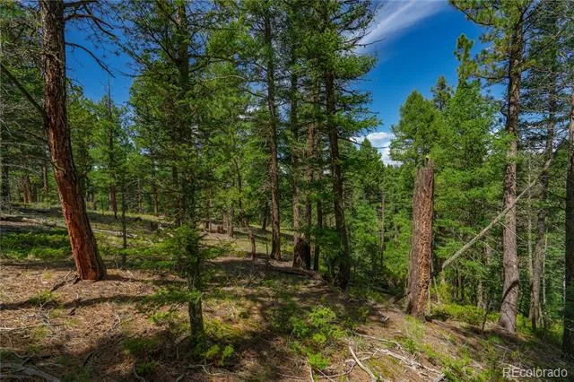 384 Insmont Lane Florissant, CO 80816