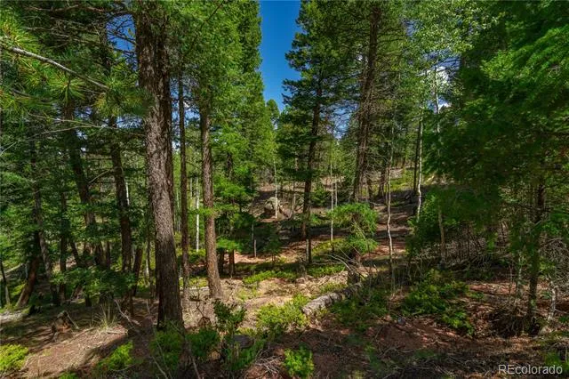 384 Insmont Lane Florissant, CO 80816
