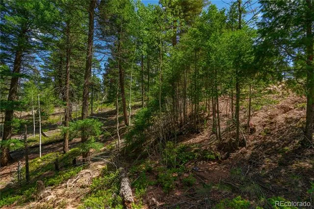 384 Insmont Lane Florissant, CO 80816