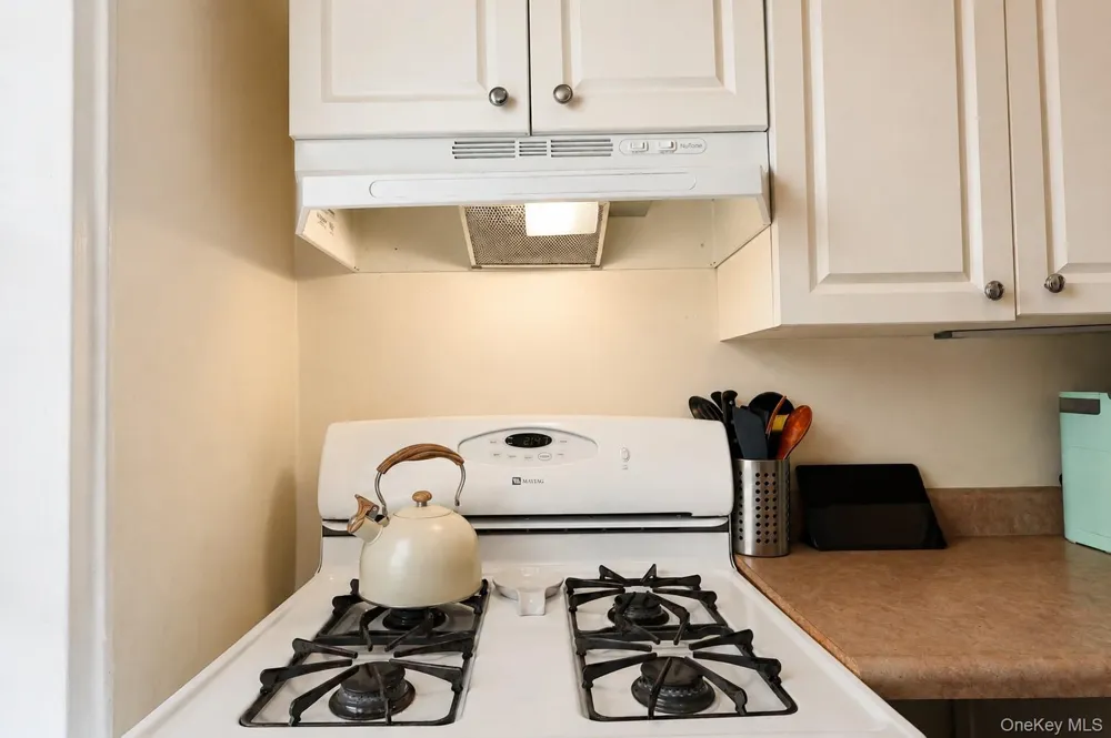 99-15 66 AVENUE #5A Rego Park, NY 11374