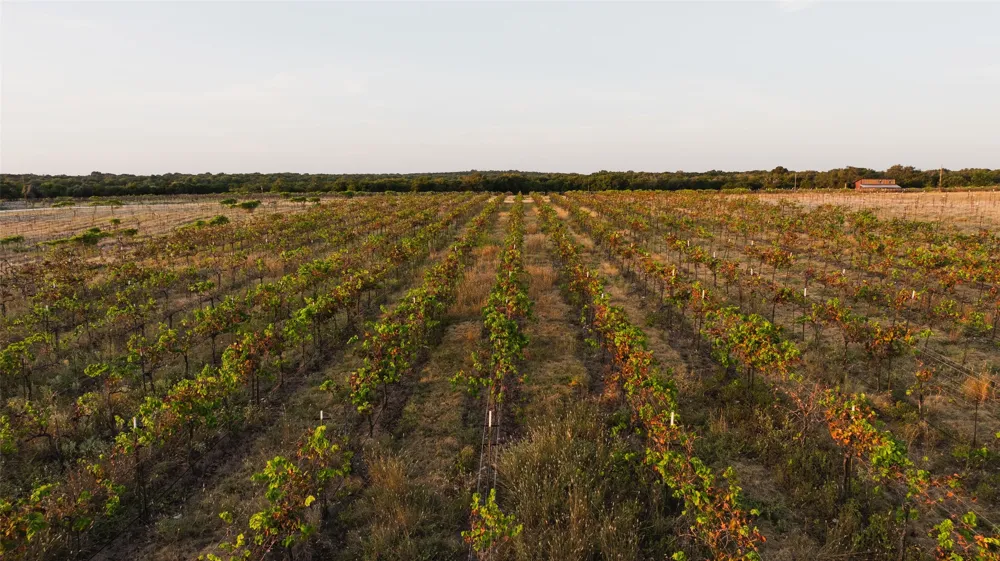 1147 County Road 1110 Meridian, TX 76665