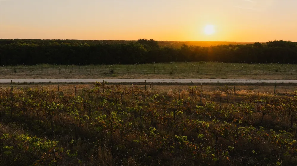 1147 County Road 1110 Meridian, TX 76665