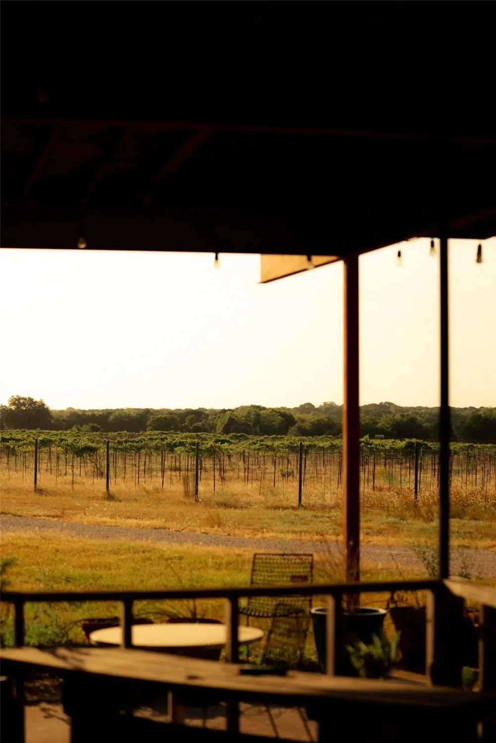 1147 County Road 1110 Meridian, TX 76665