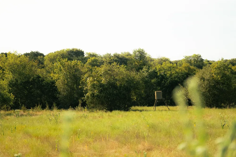 1147 County Road 1110 Meridian, TX 76665