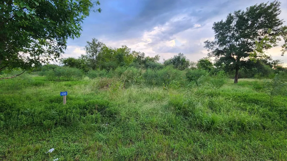 4268 Sealy Road Sealy, TX 77474