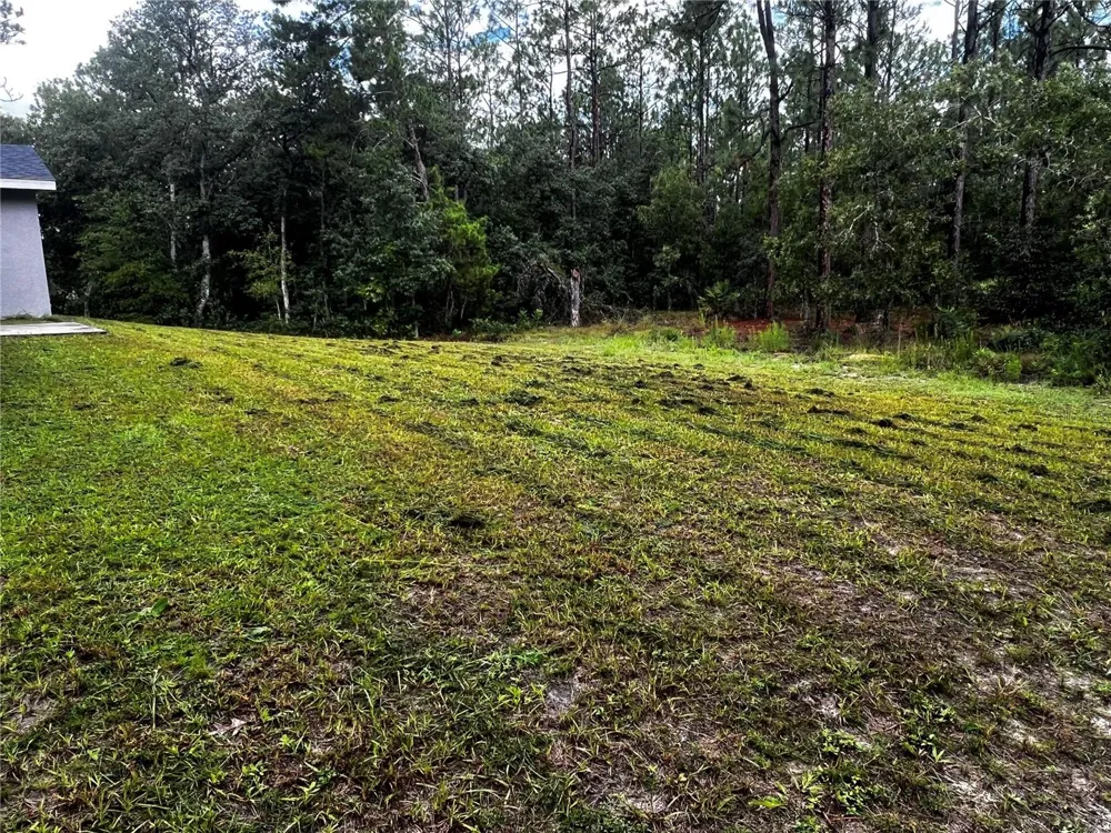 12271 SW 66TH STREET ocala, FL 34481