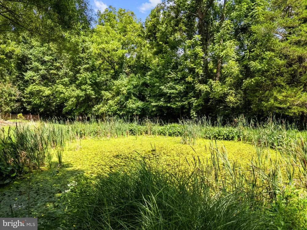 39902 THOMAS MILL ROAD Leesburg, VA 20175