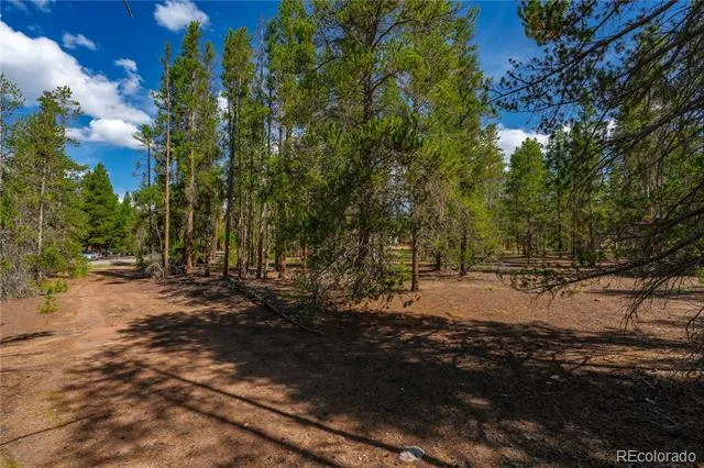 589 & 611 Augusta Drive Leadville, CO 80461