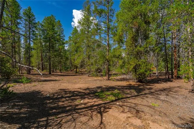 589 & 611 Augusta Drive Leadville, CO 80461