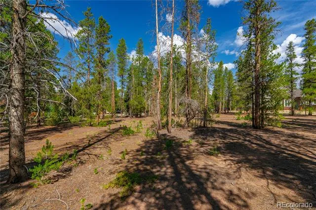 589 & 611 Augusta Drive Leadville, CO 80461