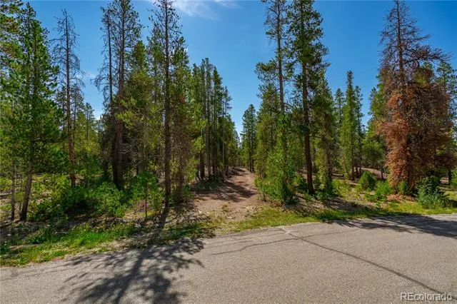 589 & 611 Augusta Drive Leadville, CO 80461