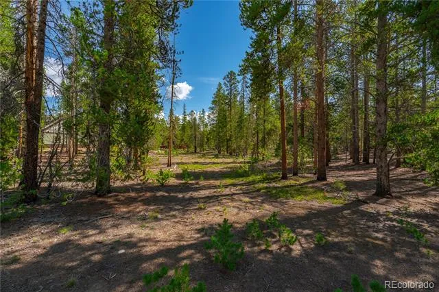 589 & 611 Augusta Drive Leadville, CO 80461