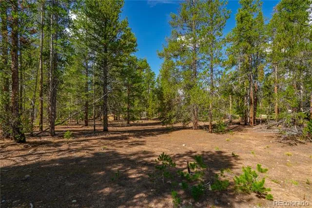 589 & 611 Augusta Drive Leadville, CO 80461