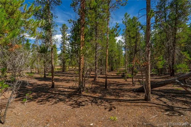 589 & 611 Augusta Drive Leadville, CO 80461