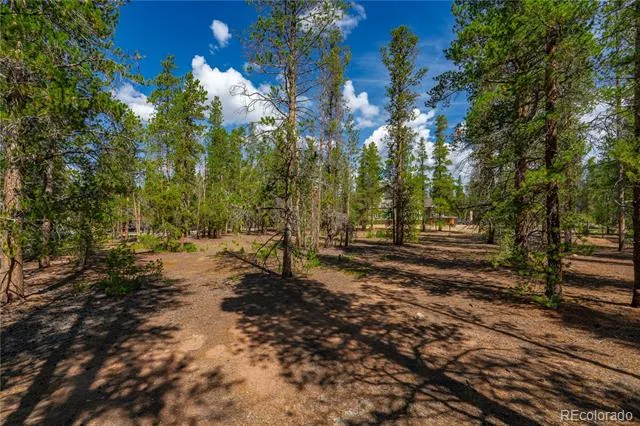589 & 611 Augusta Drive Leadville, CO 80461