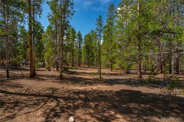 589 & 611 Augusta Drive Leadville, CO 80461