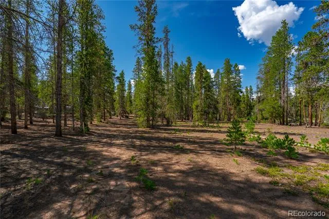 589 & 611 Augusta Drive Leadville, CO 80461