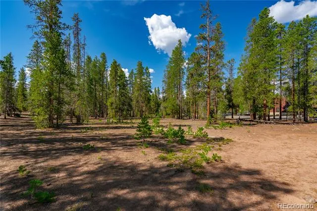 589 & 611 Augusta Drive Leadville, CO 80461