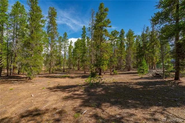 589 & 611 Augusta Drive Leadville, CO 80461