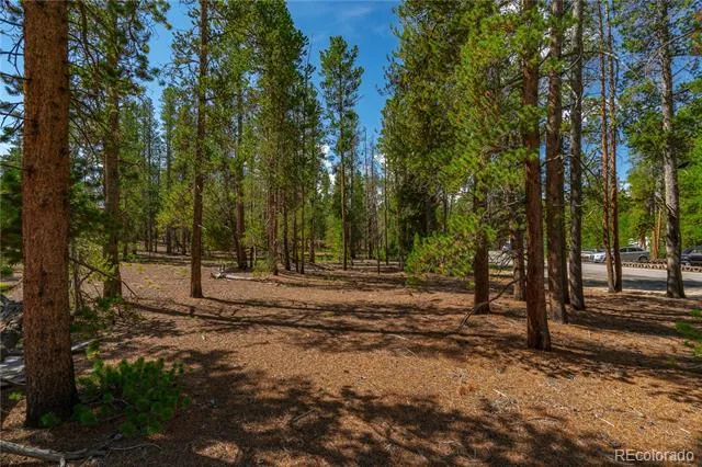589 & 611 Augusta Drive Leadville, CO 80461