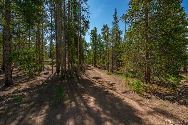 589 & 611 Augusta Drive Leadville, CO 80461