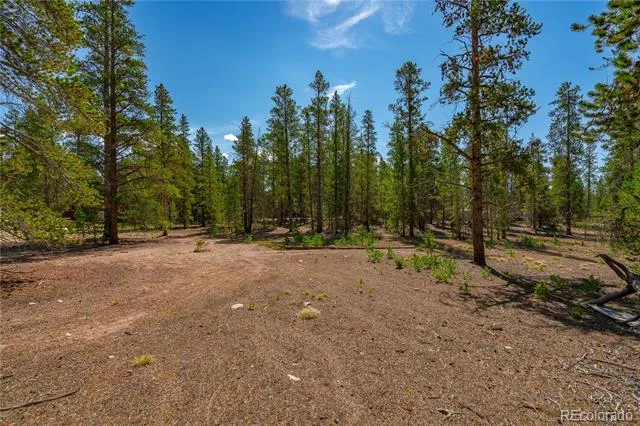 589 & 611 Augusta Drive Leadville, CO 80461