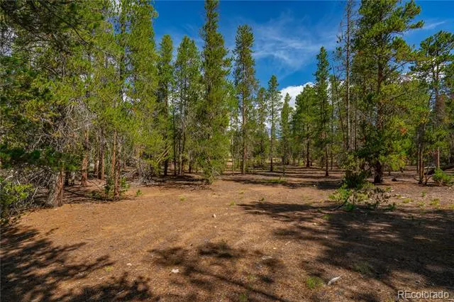 589 & 611 Augusta Drive Leadville, CO 80461