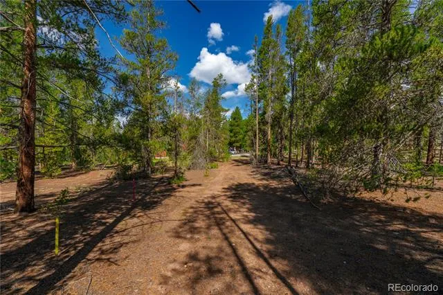 589 & 611 Augusta Drive Leadville, CO 80461