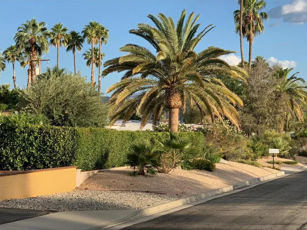 1444 Rodeo Road Palm Springs, CA 92262